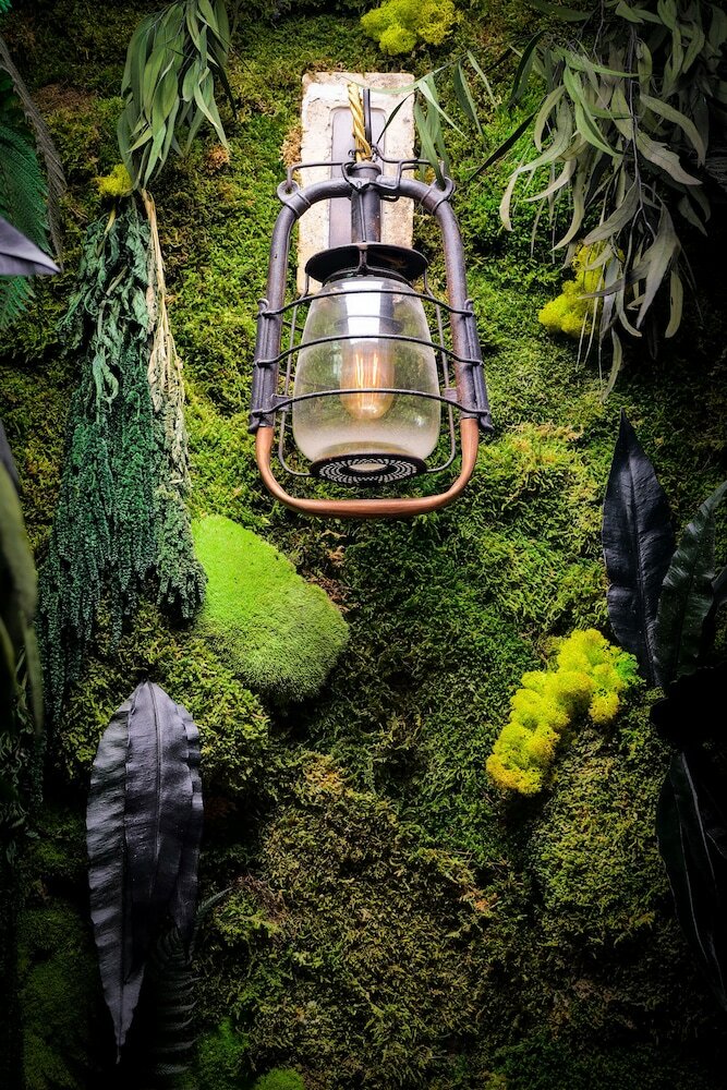 Фото Hotel Gondwana - City Green