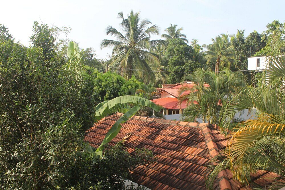 Фото Surf n Summer