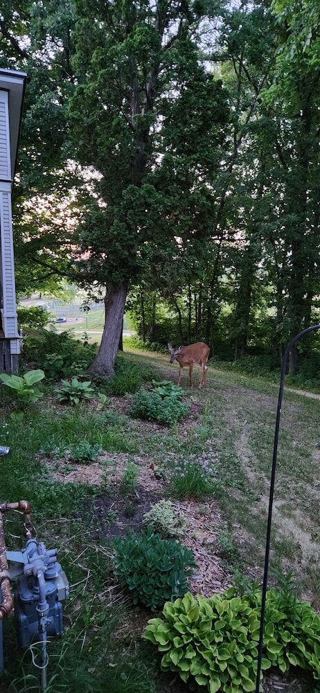 Фото Oaklawn Inn LLC