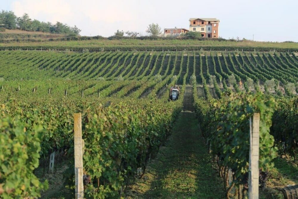 Фото Vinea Resort & SPA