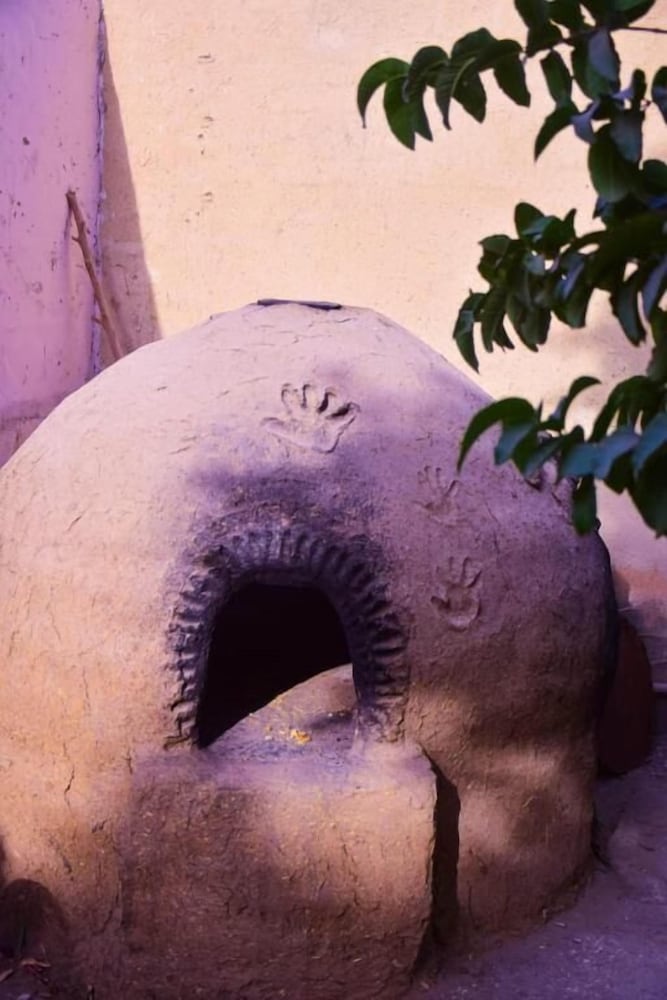 Фото Pharaonic Rose