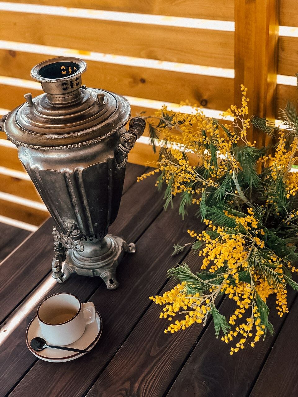 Фото Гнездо