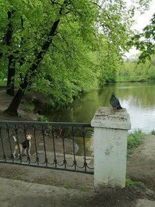 Lefortovsky Park (Moscow, Lefortovsky Park), park