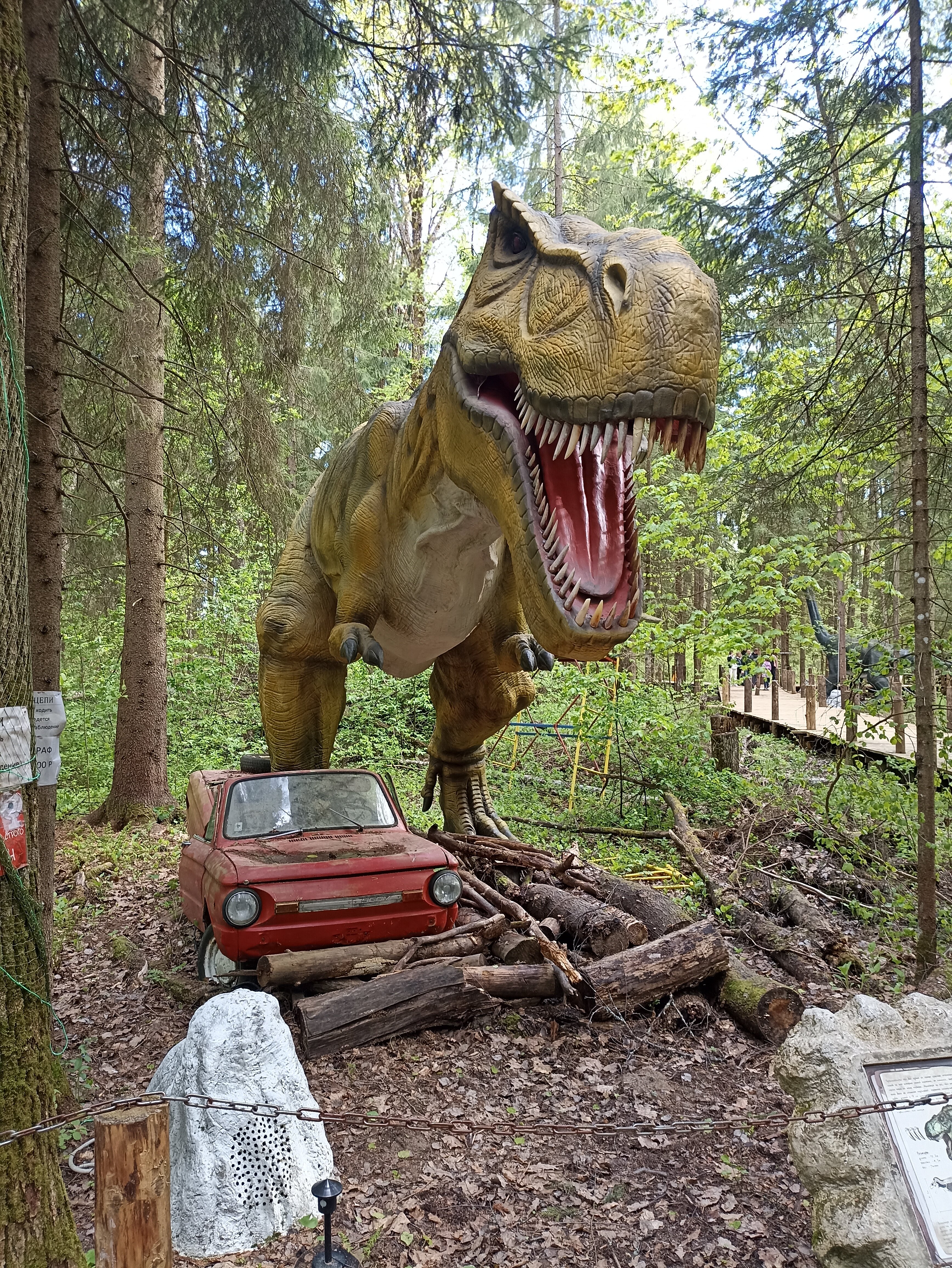 Фото Шри-Ланка