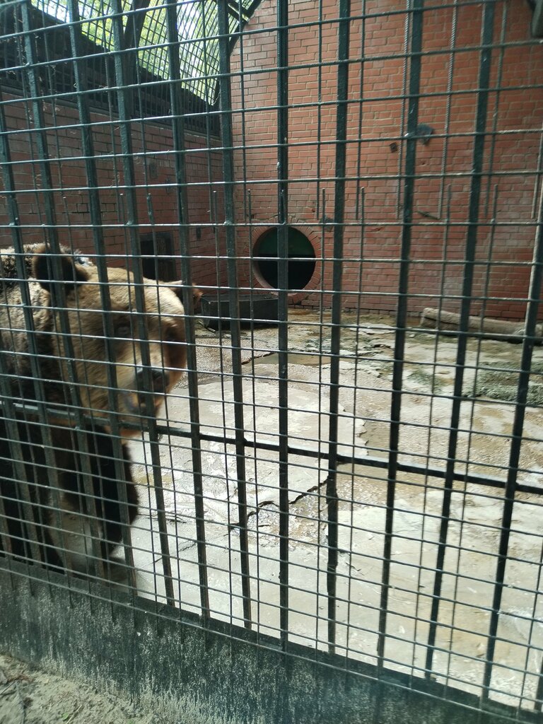 Зоопарк Зоопарк, Саранск, фото