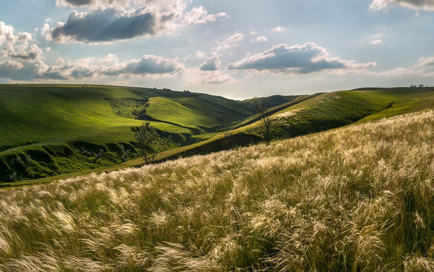 Фото Оленья ферма