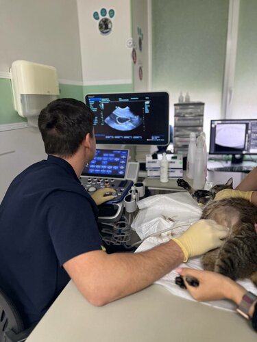 Отзывы о «Городской ветеринарный лечебно-диагностический центр № 1» на ...