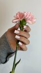 Bogatova nails (Volodarskogo Street, 20), nail salon