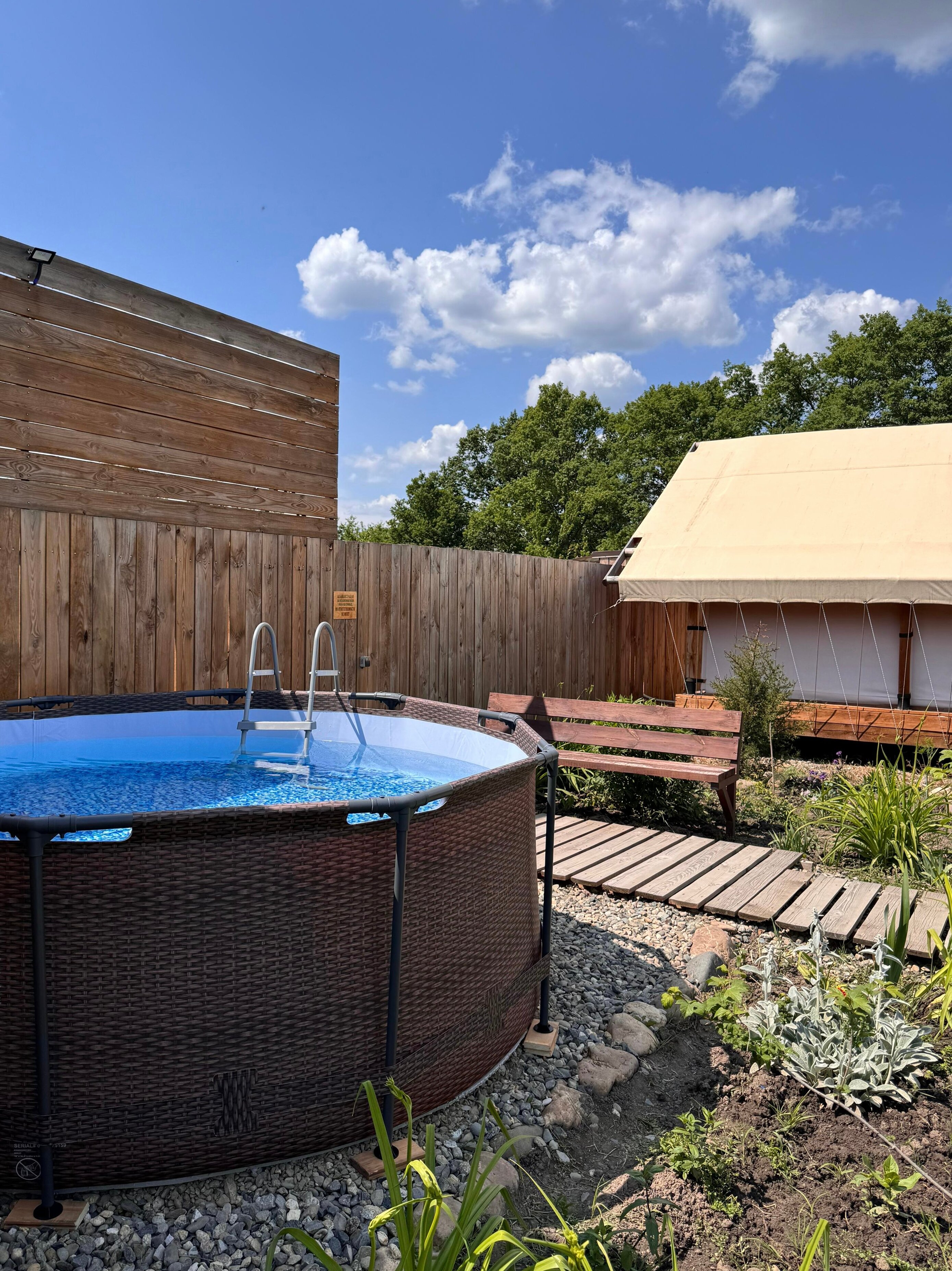 Фото Стрижи