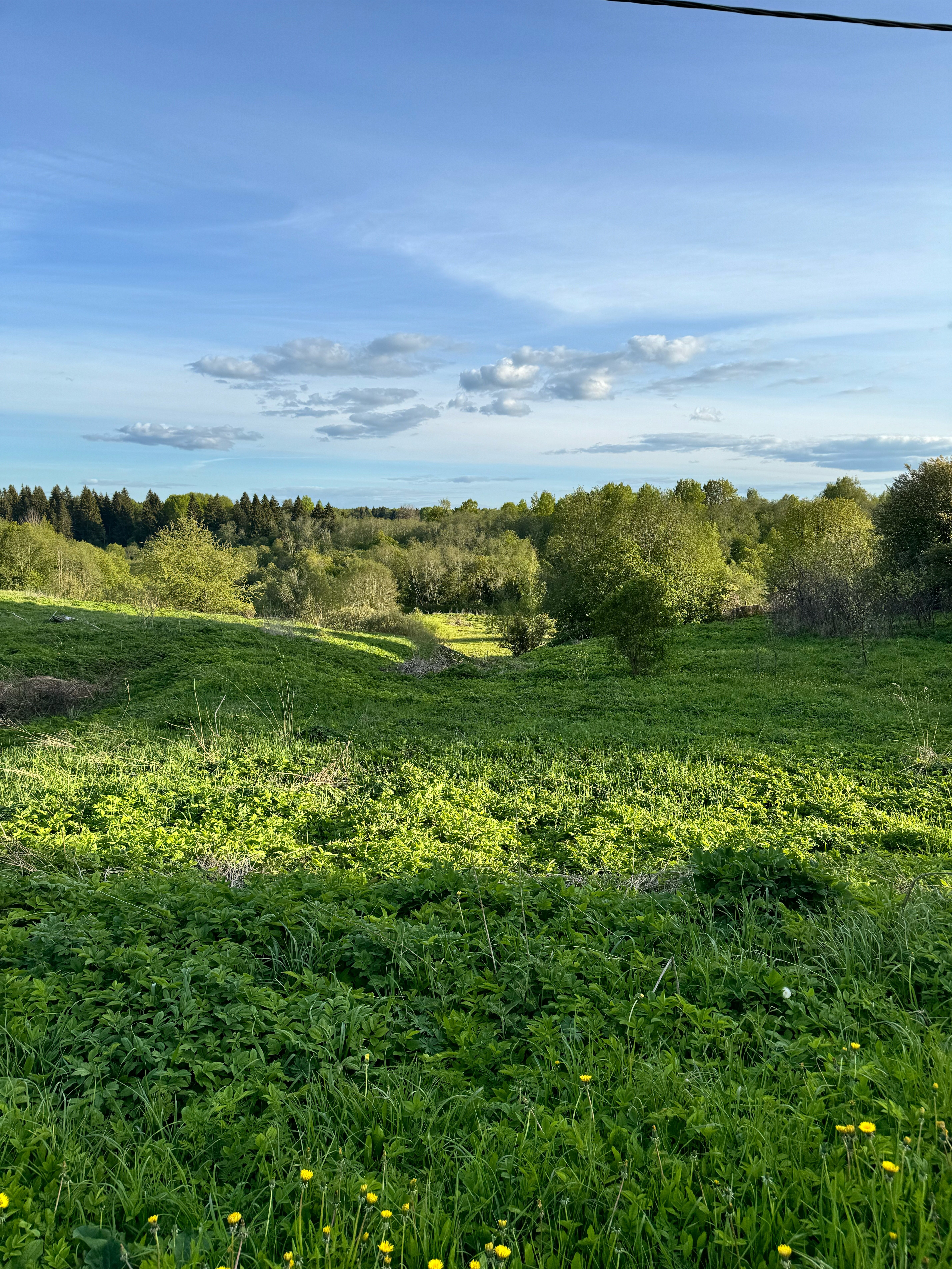 Фото Экоферма Елизарово