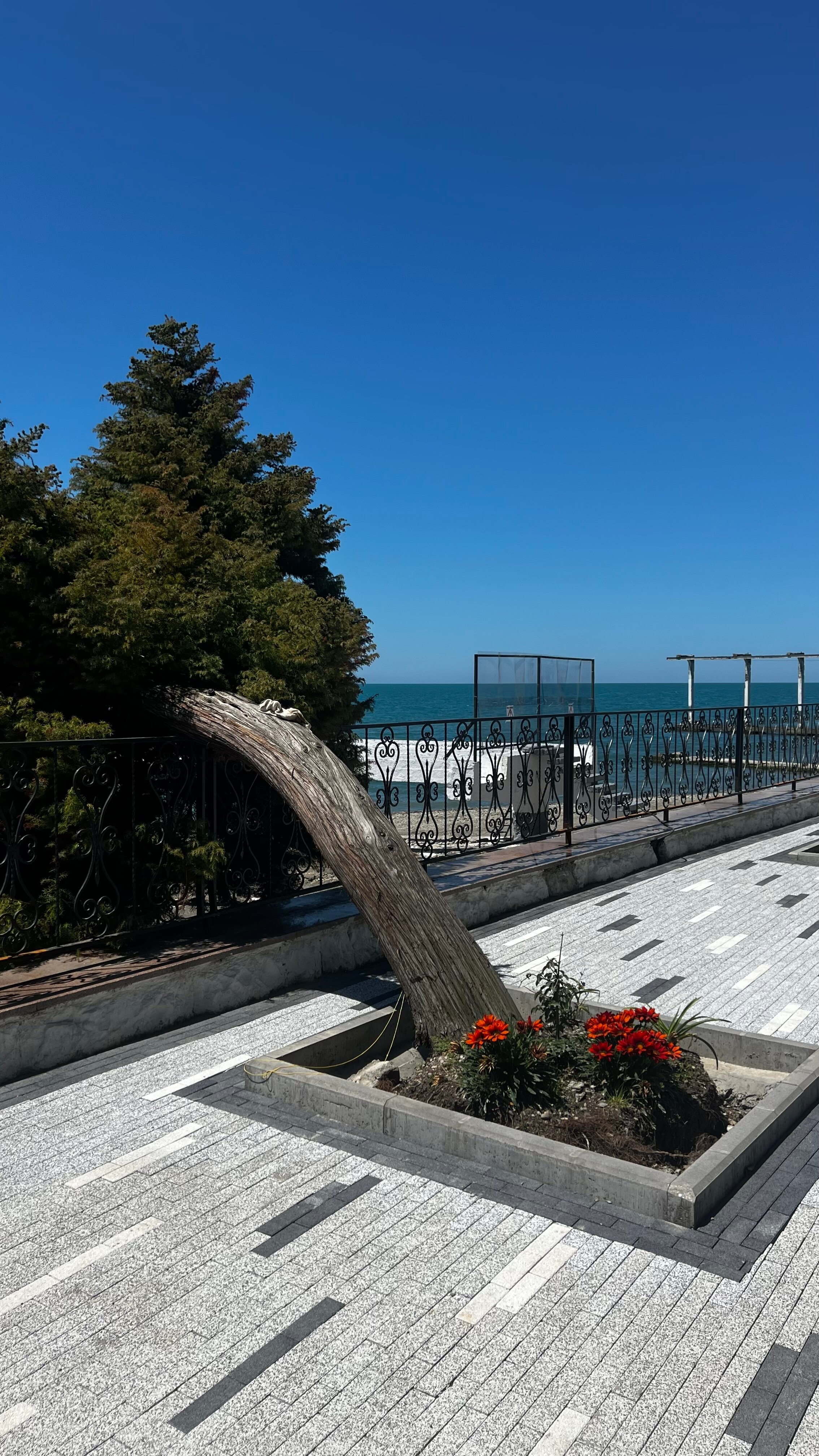 Фото Coocoorooza