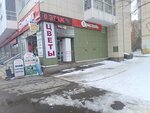 Пивная 29 (ulitsa Samoylo, 15), bar, pub