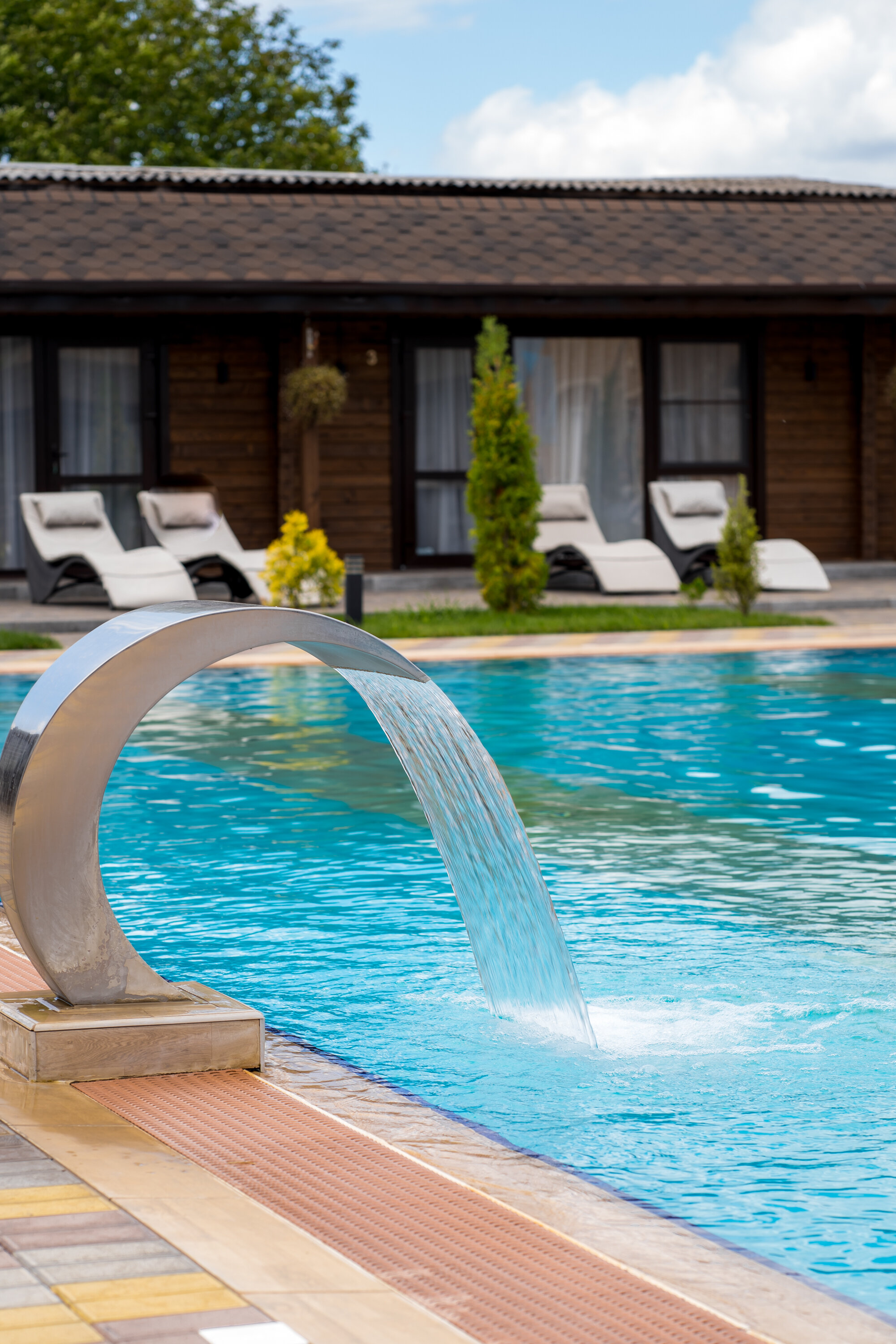 Фото Кедровый бор