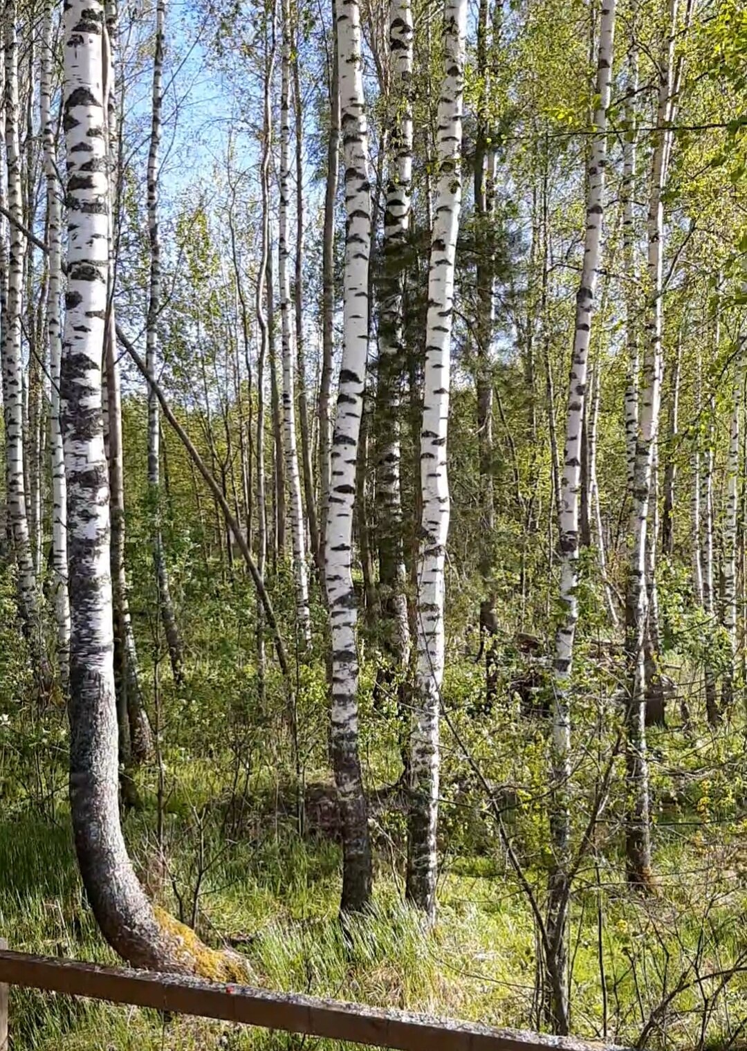 Фото Рыбацкое подворье Владимировка