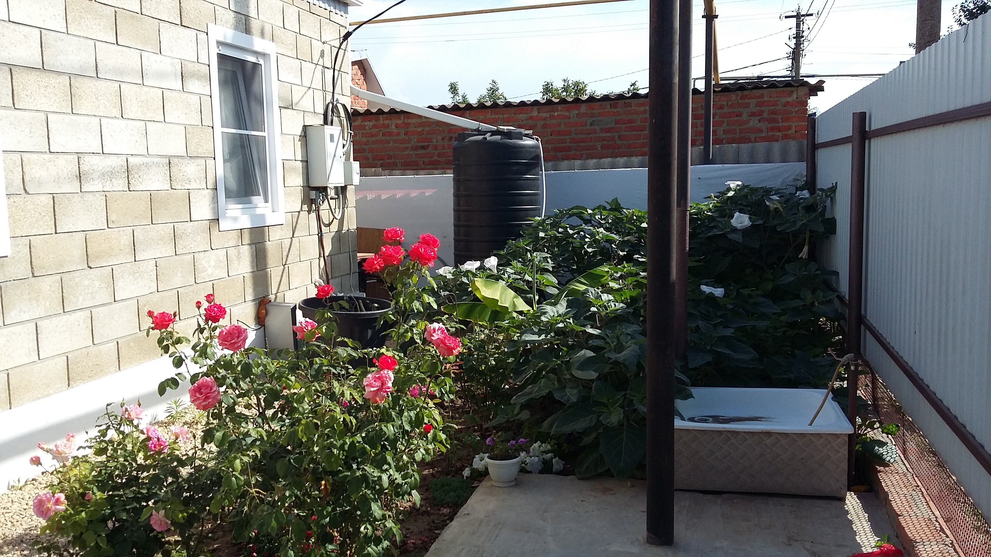 Фото Зеленая 25