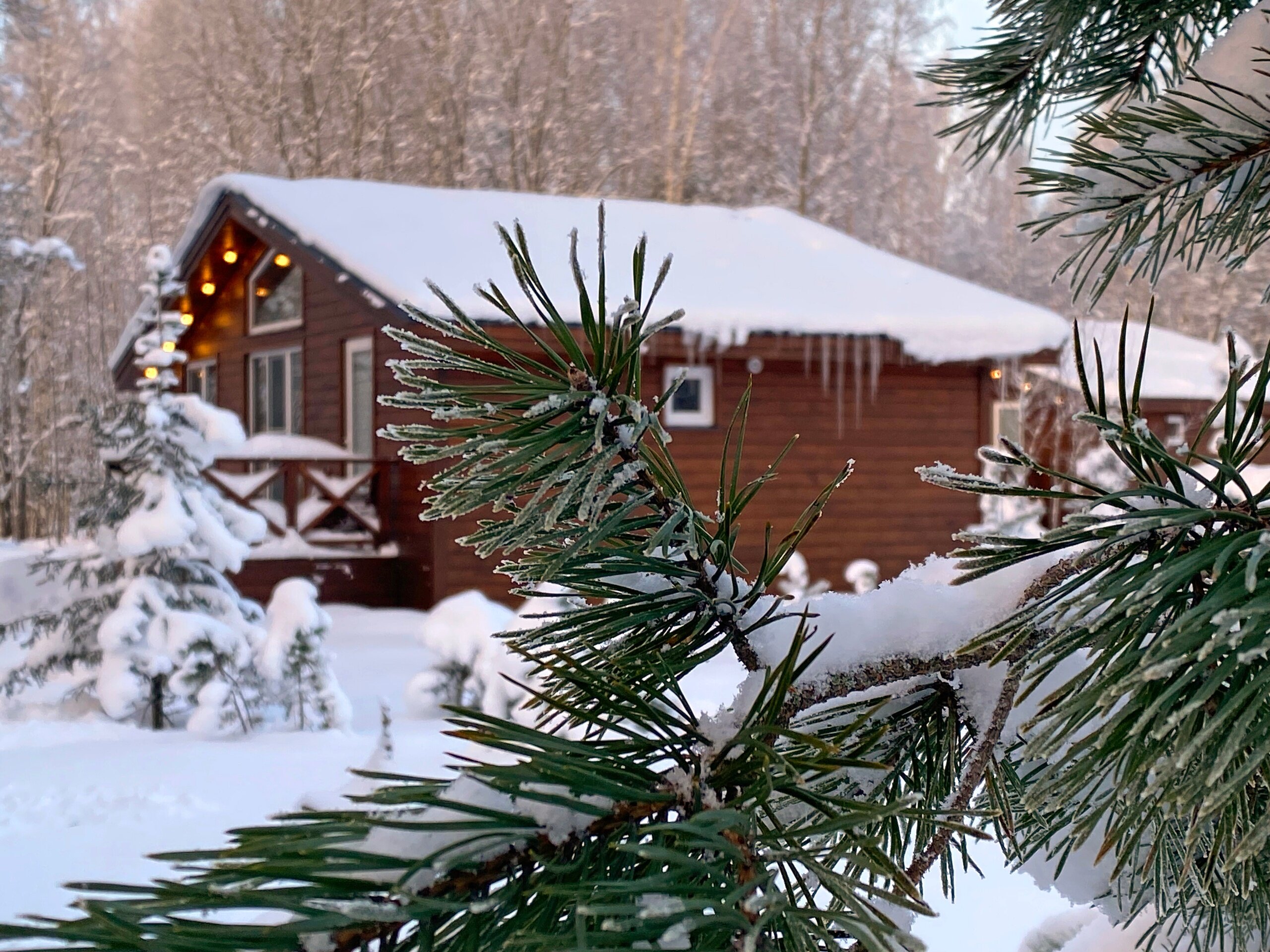 Фото Ладога Хоум