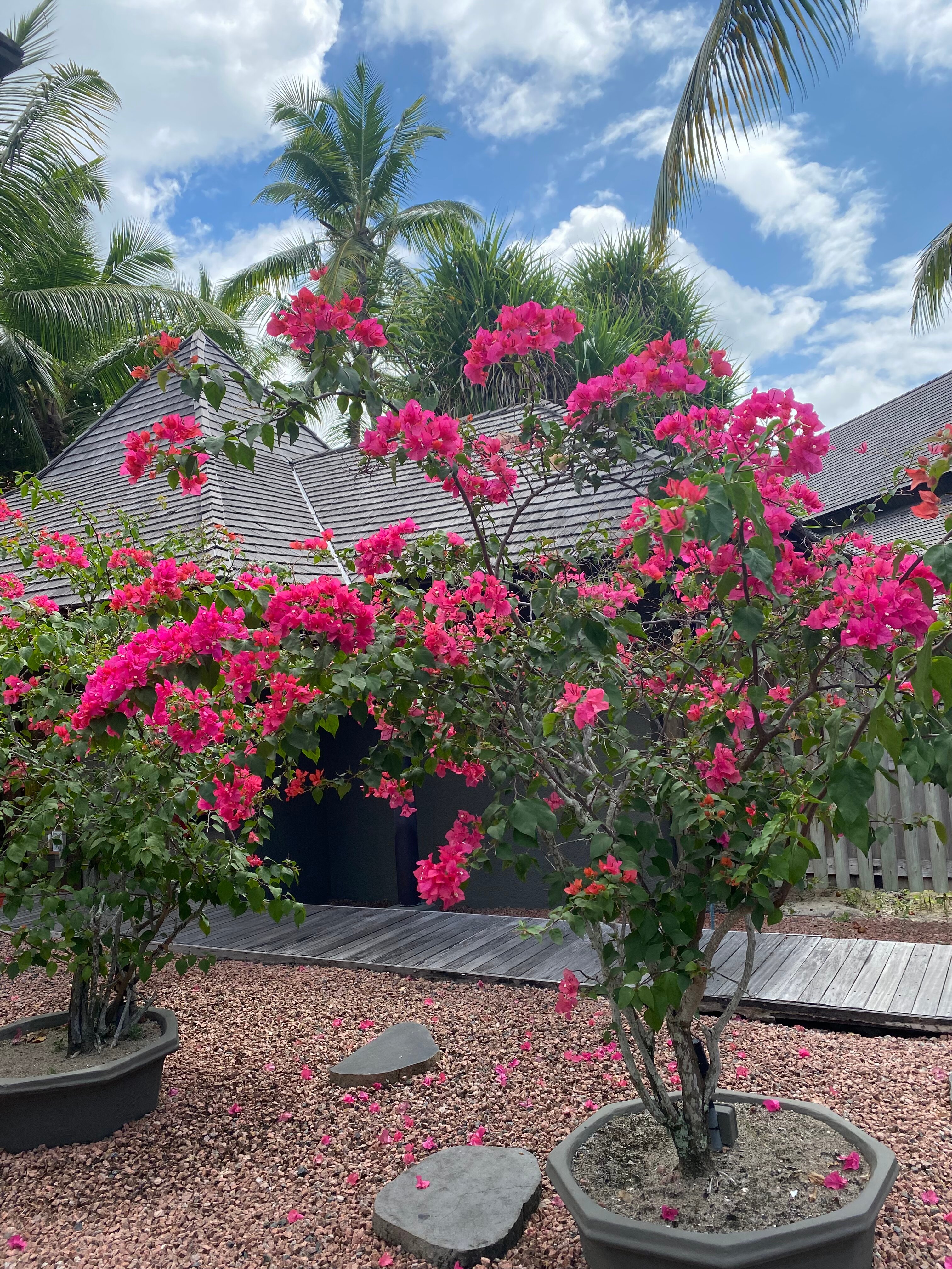 Фото Constance Ephélia