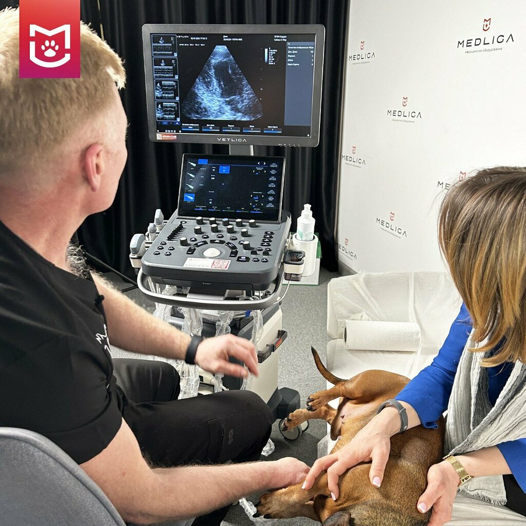 Veterinary drugs and equipment Vetliga, Moscow, photo