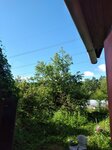 Луч (Moscow Region, Shchyolkovo Urban District, sadovodcheskoye nekommercheskoye tovarishchestvo Luch), gardeners' partnerships and societies