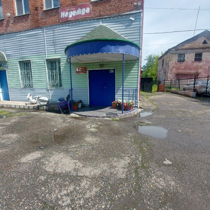 Фото Надежда