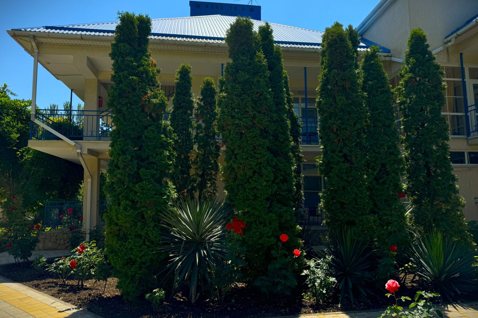 Фото Серенити