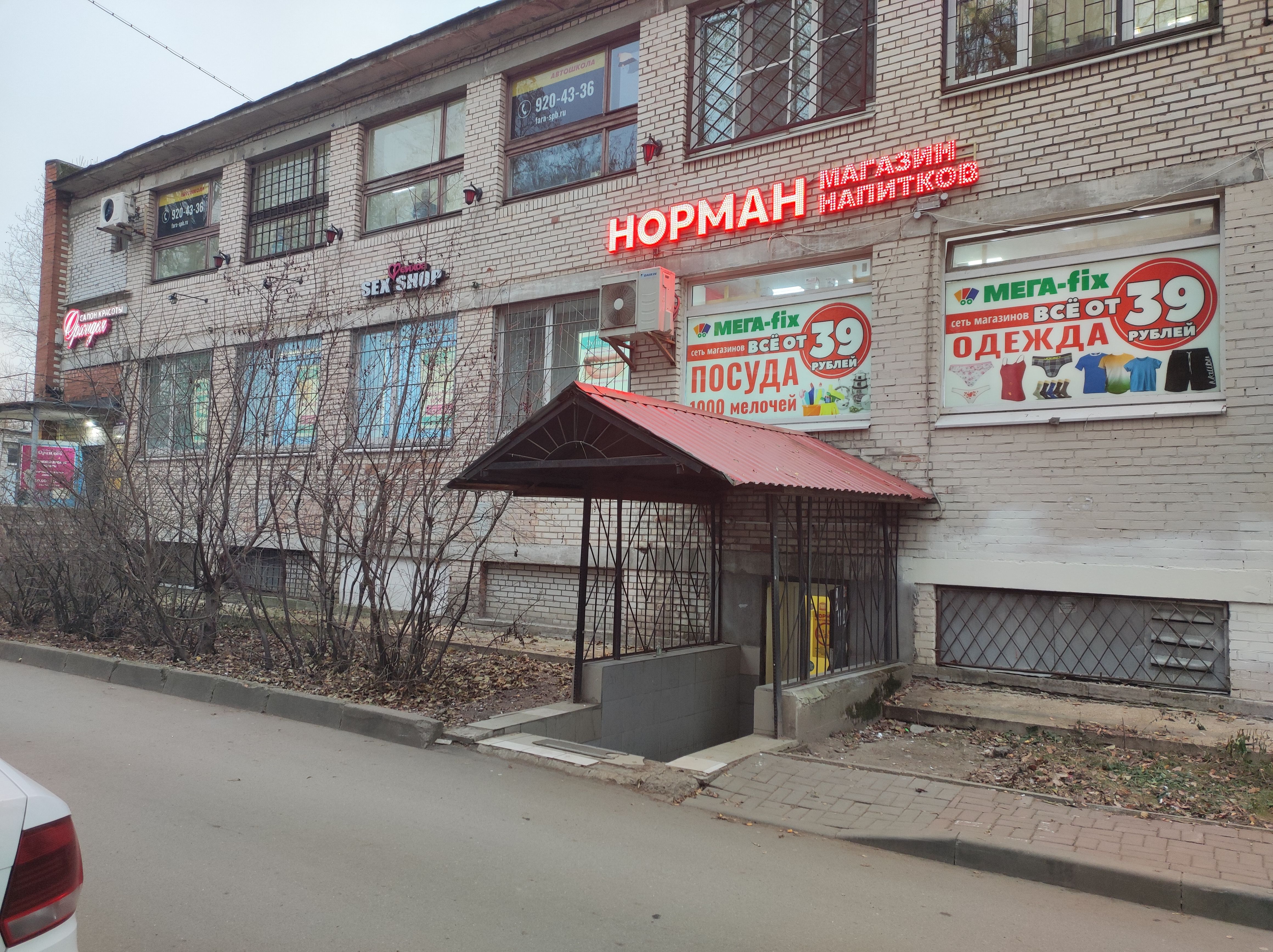 Орхидея бул новаторов 98 фото