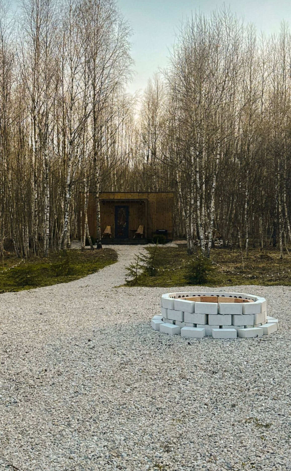 Фото Два зайца