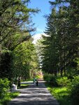 Дендропарк (ulitsa Zhukovskogo, 100/1), parque de cultura y ocio