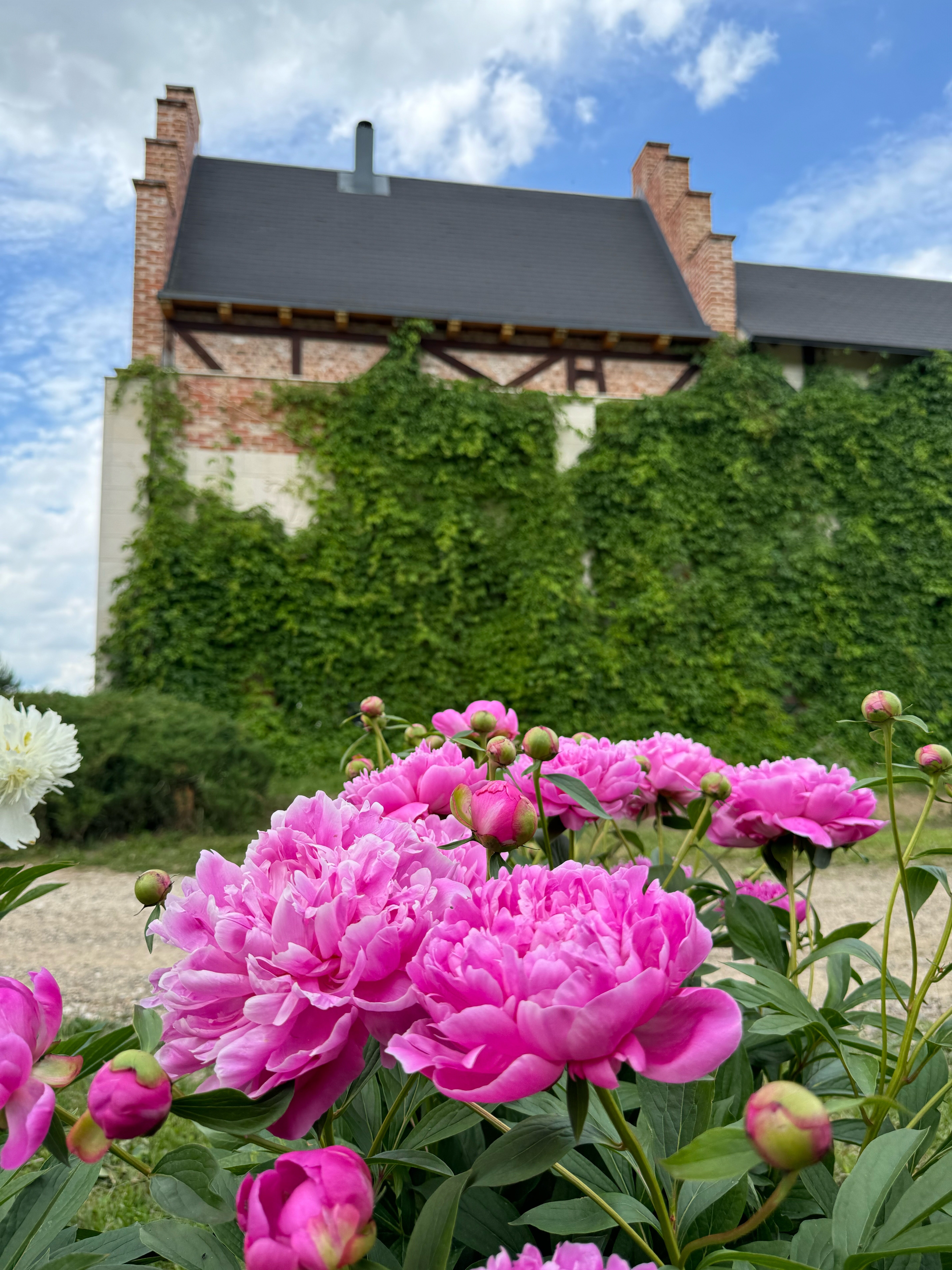 Фото La Ferme de Reve