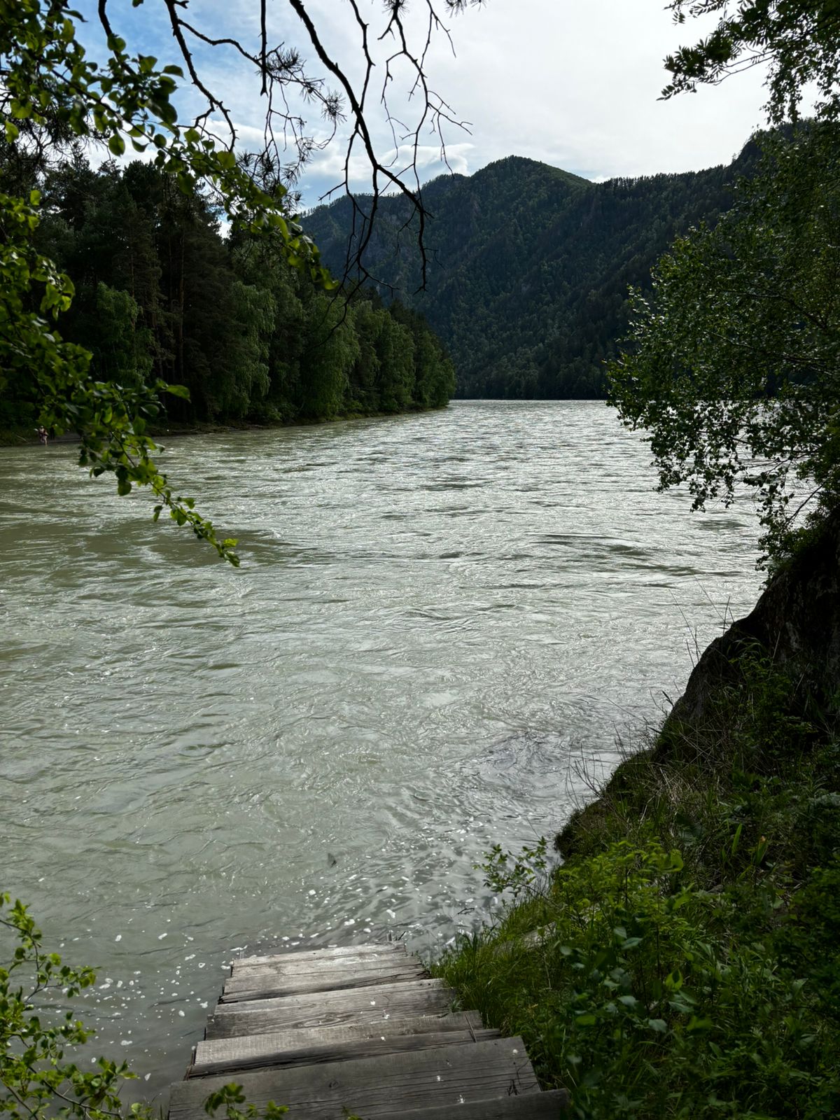 Фото Катунский утёс