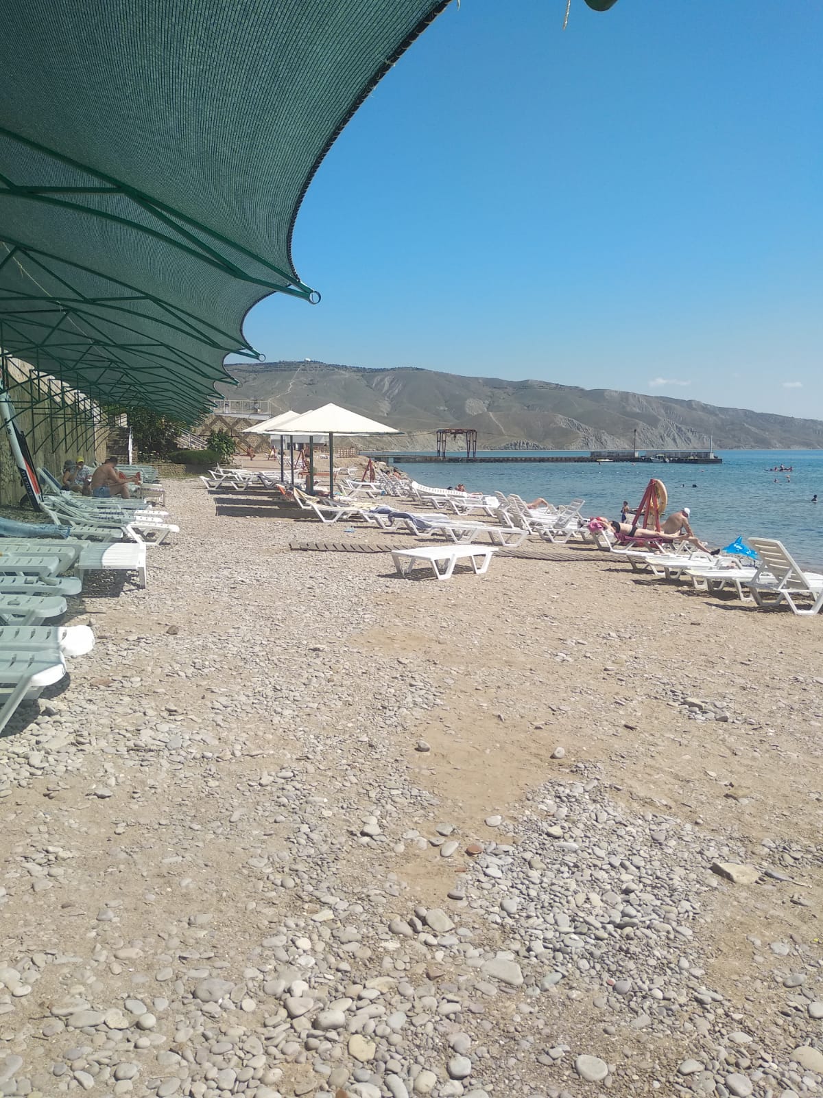 Фото Эллинг у Зои