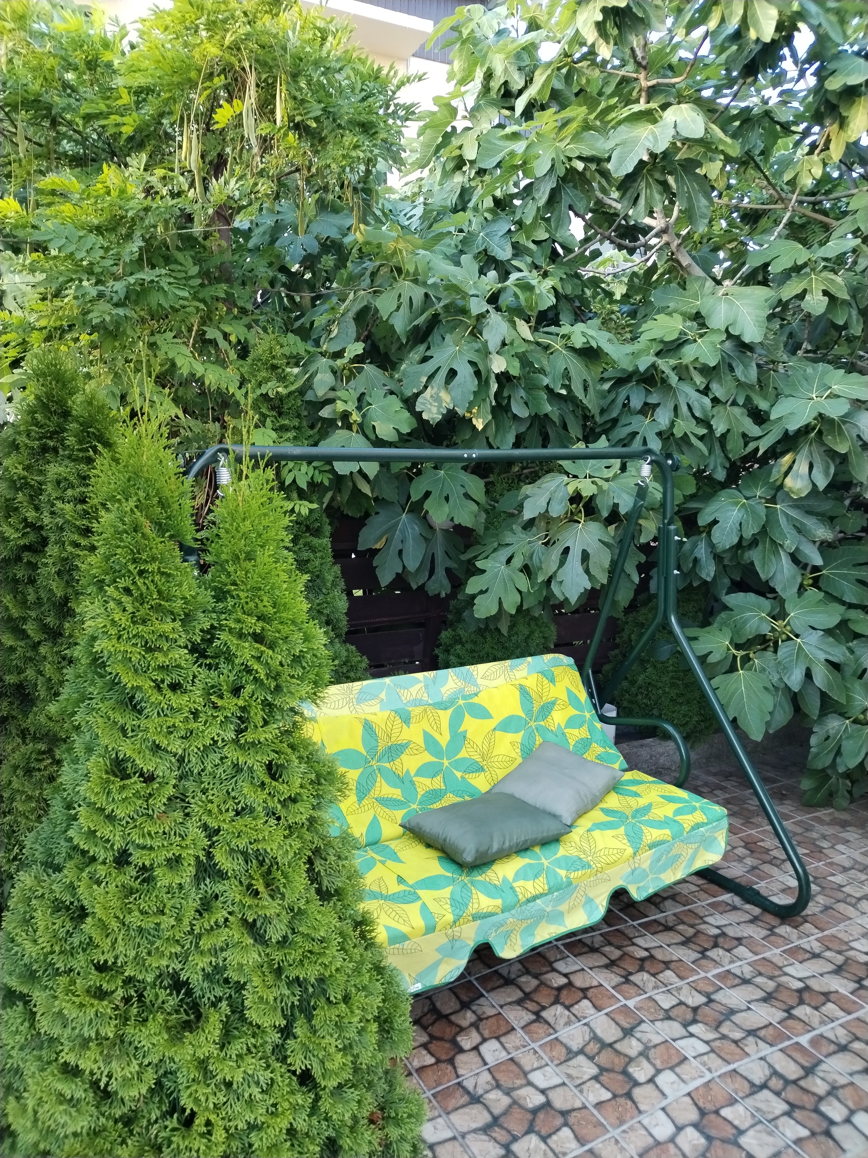 Фото Дельфин