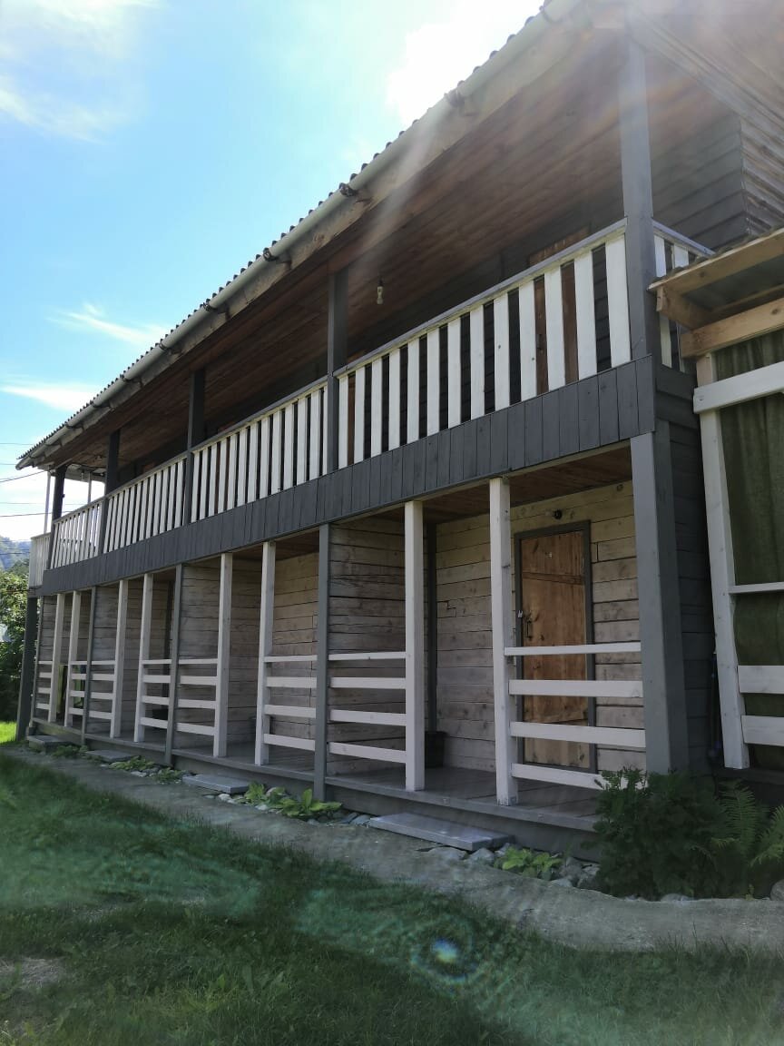 Фото Ель и кедр