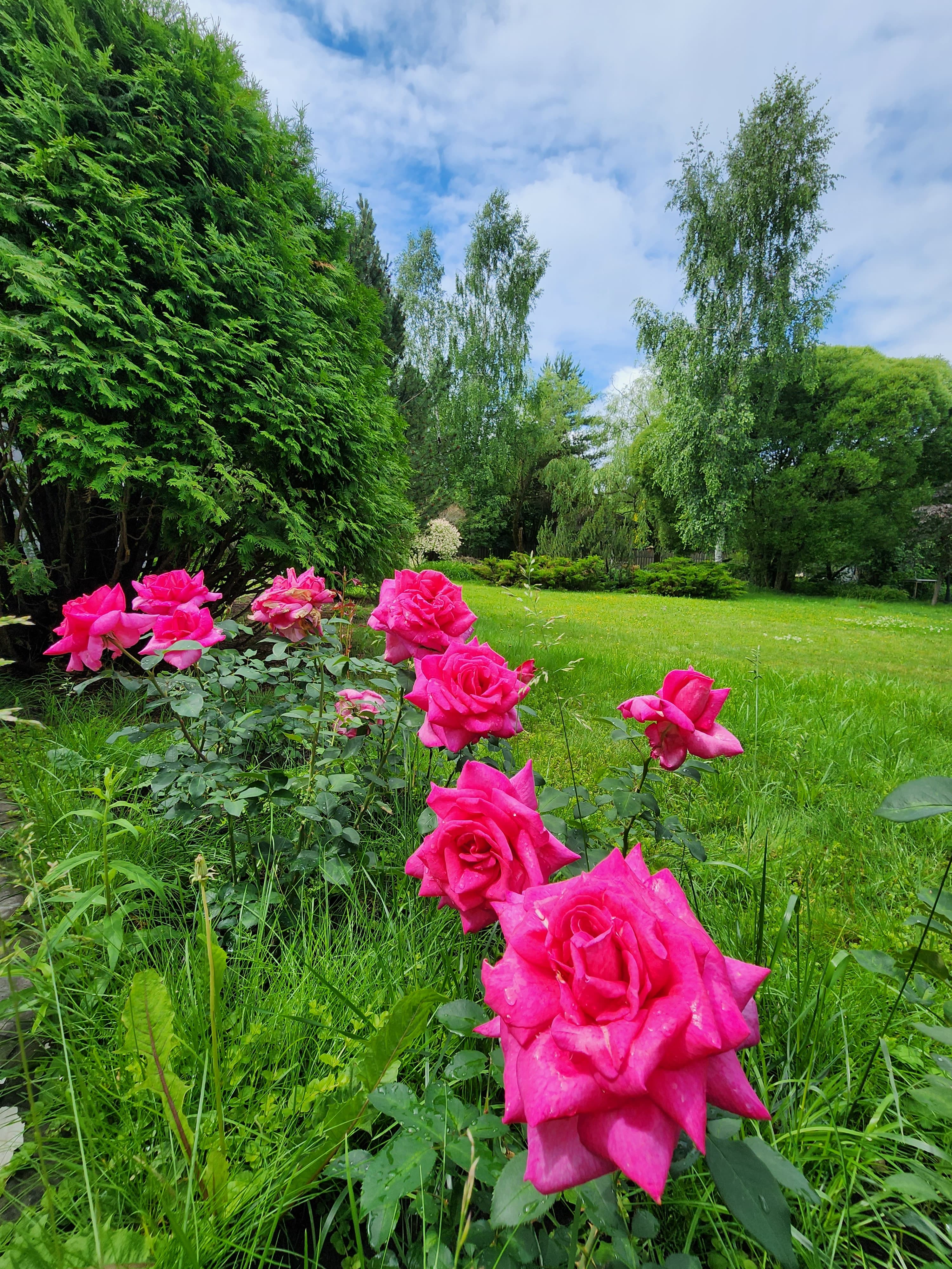 Фото White Luxe Villa