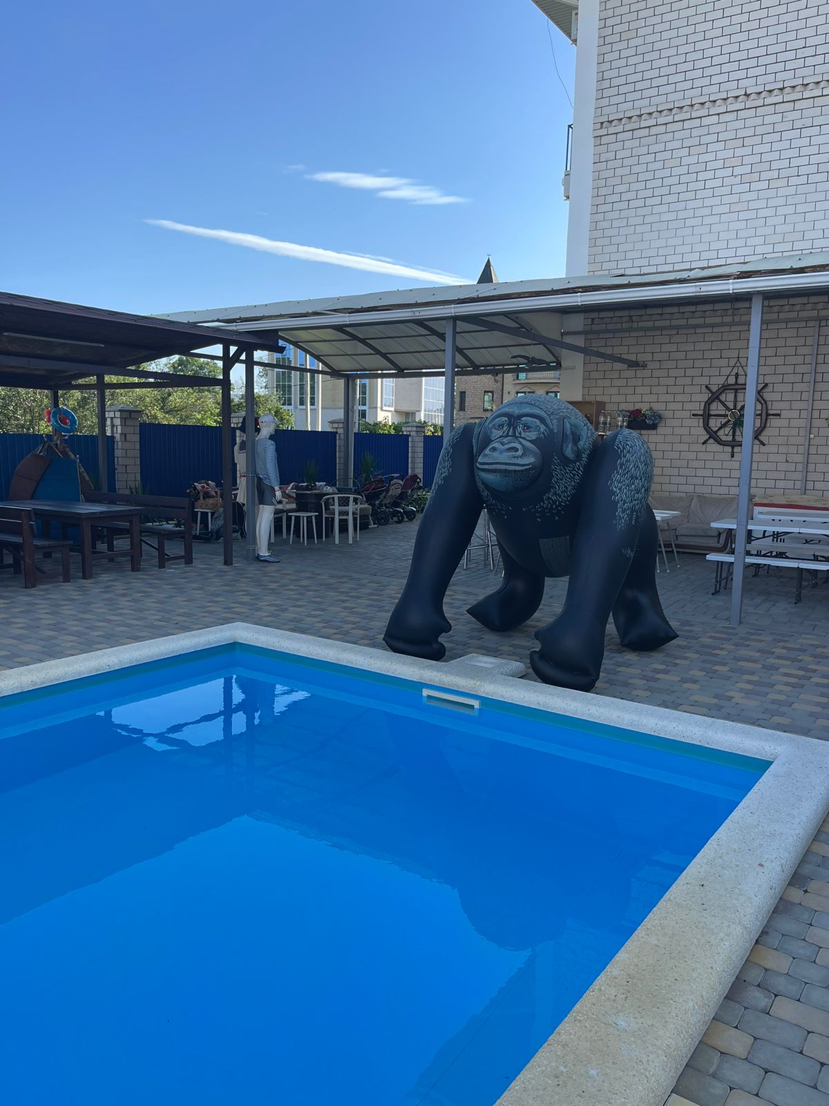 Фото Солнечный берег