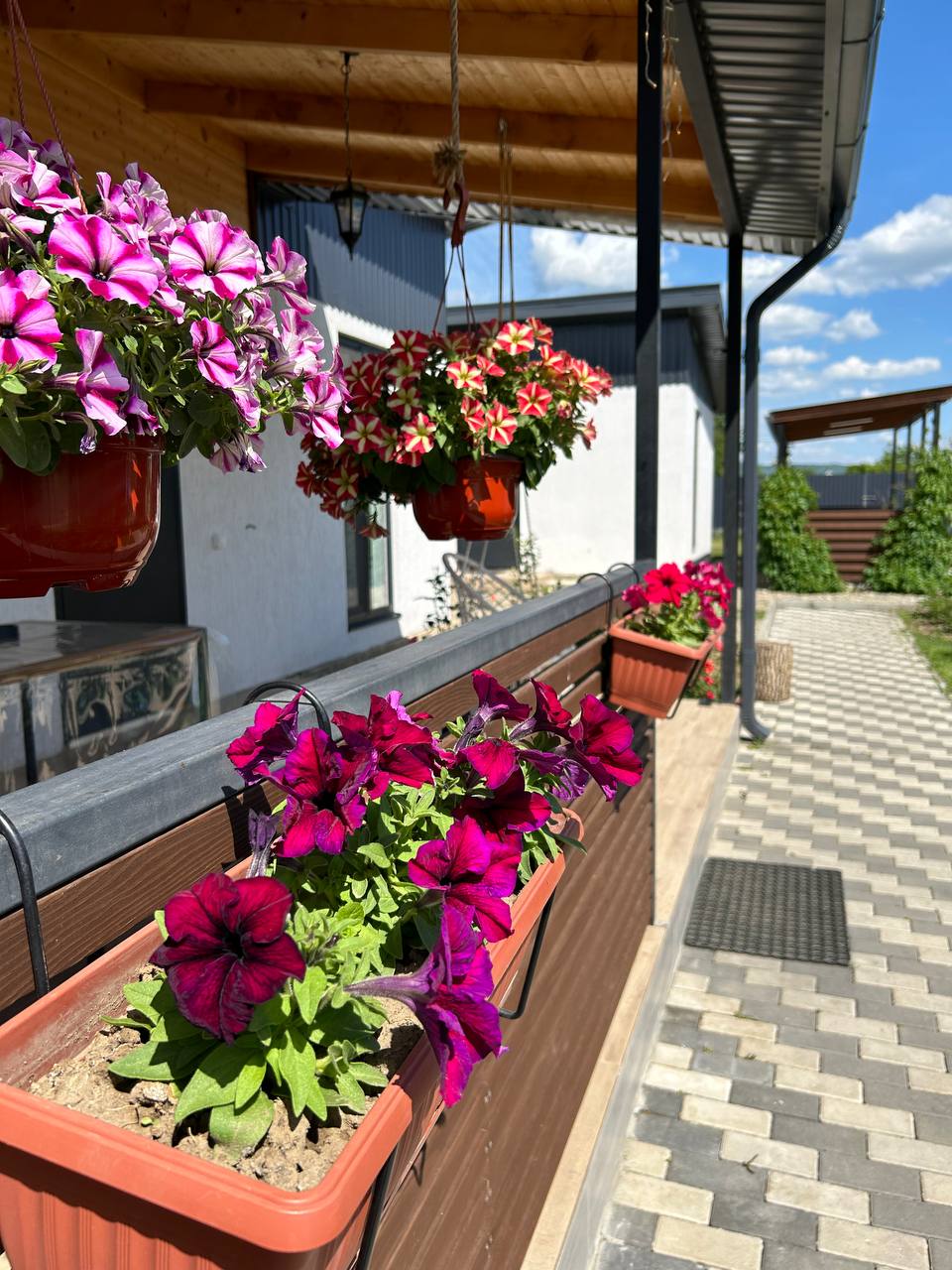 Фото Предгорье 01