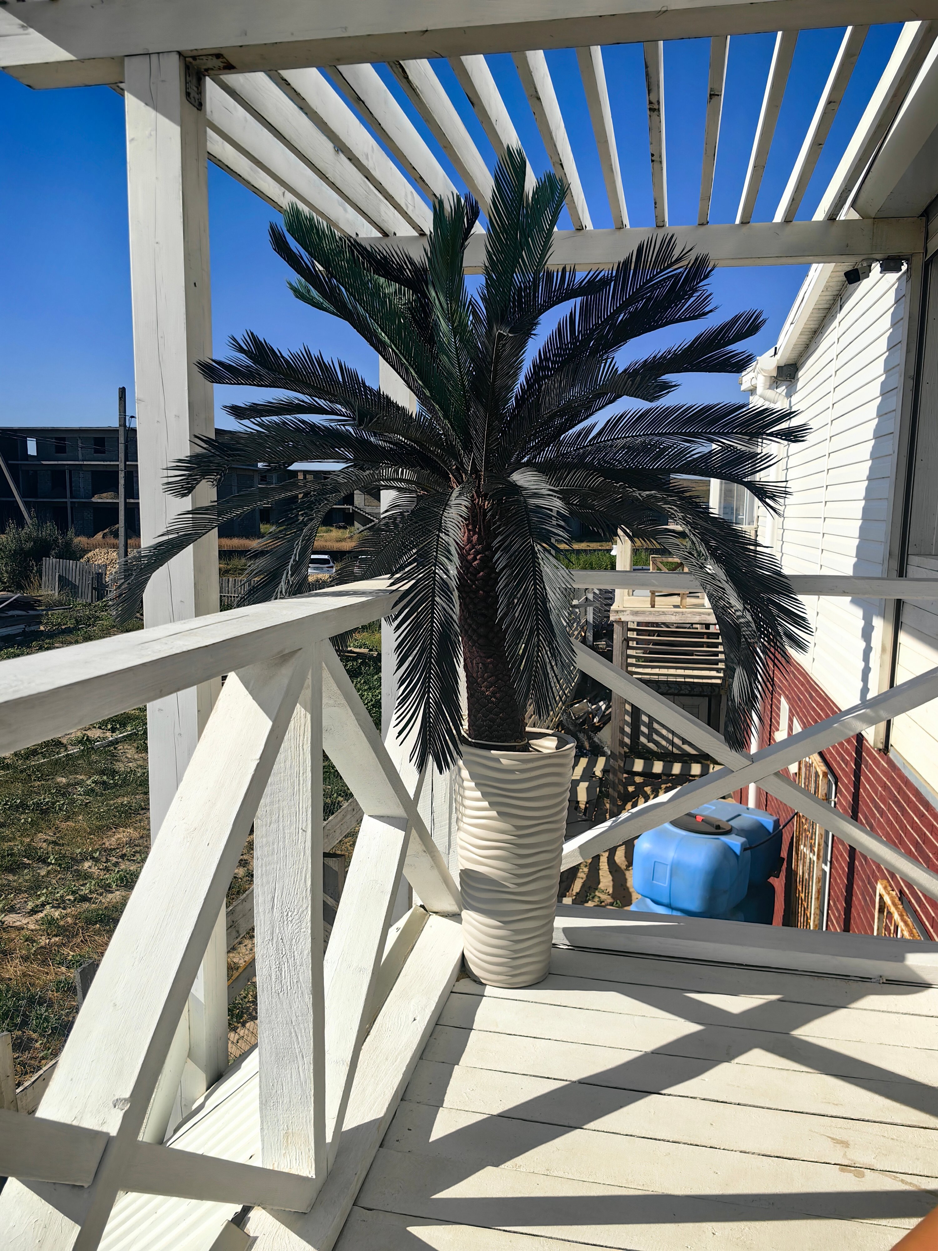 Фото Тай Вес