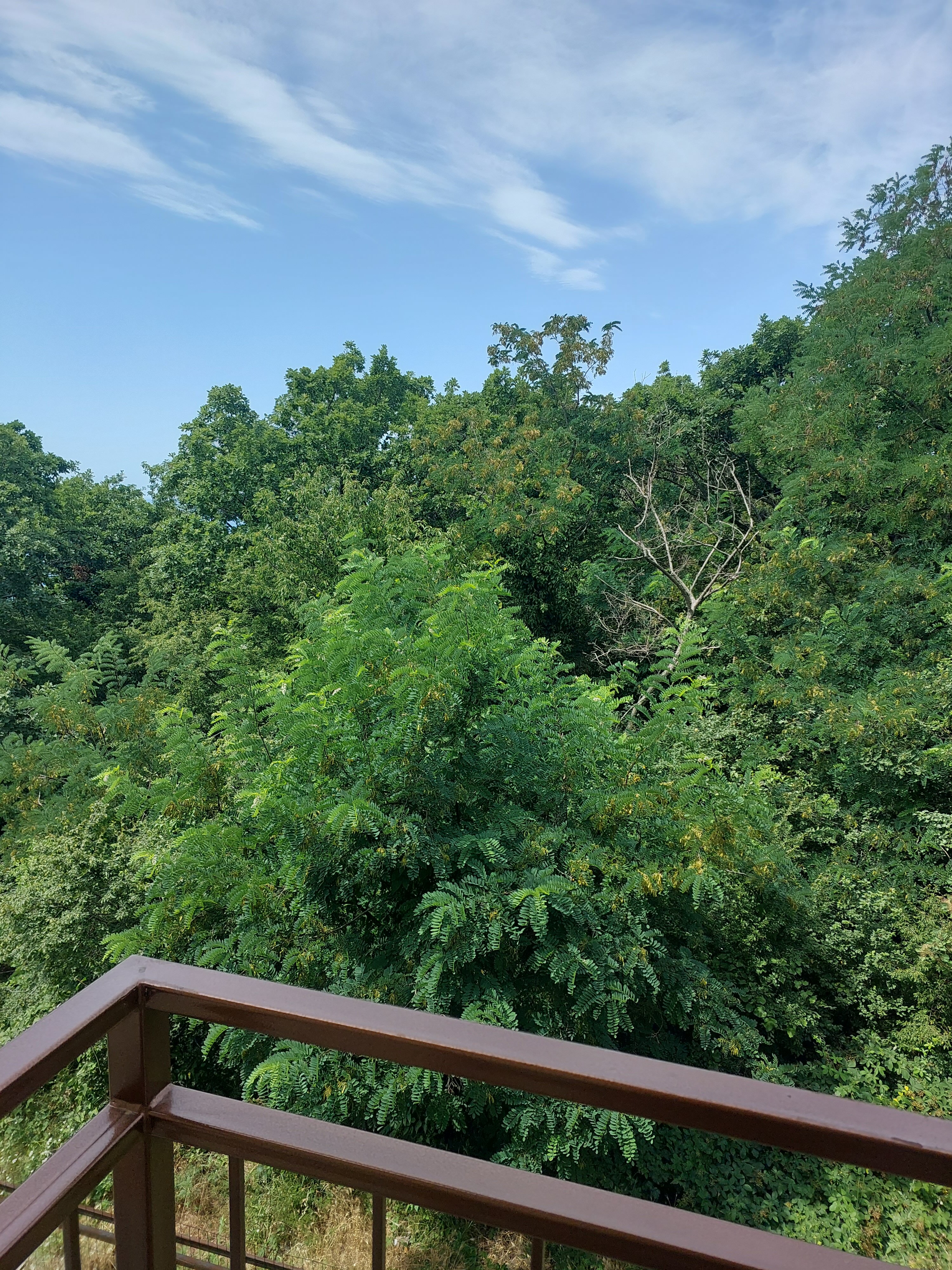 Фото НаМоре, корпус 2