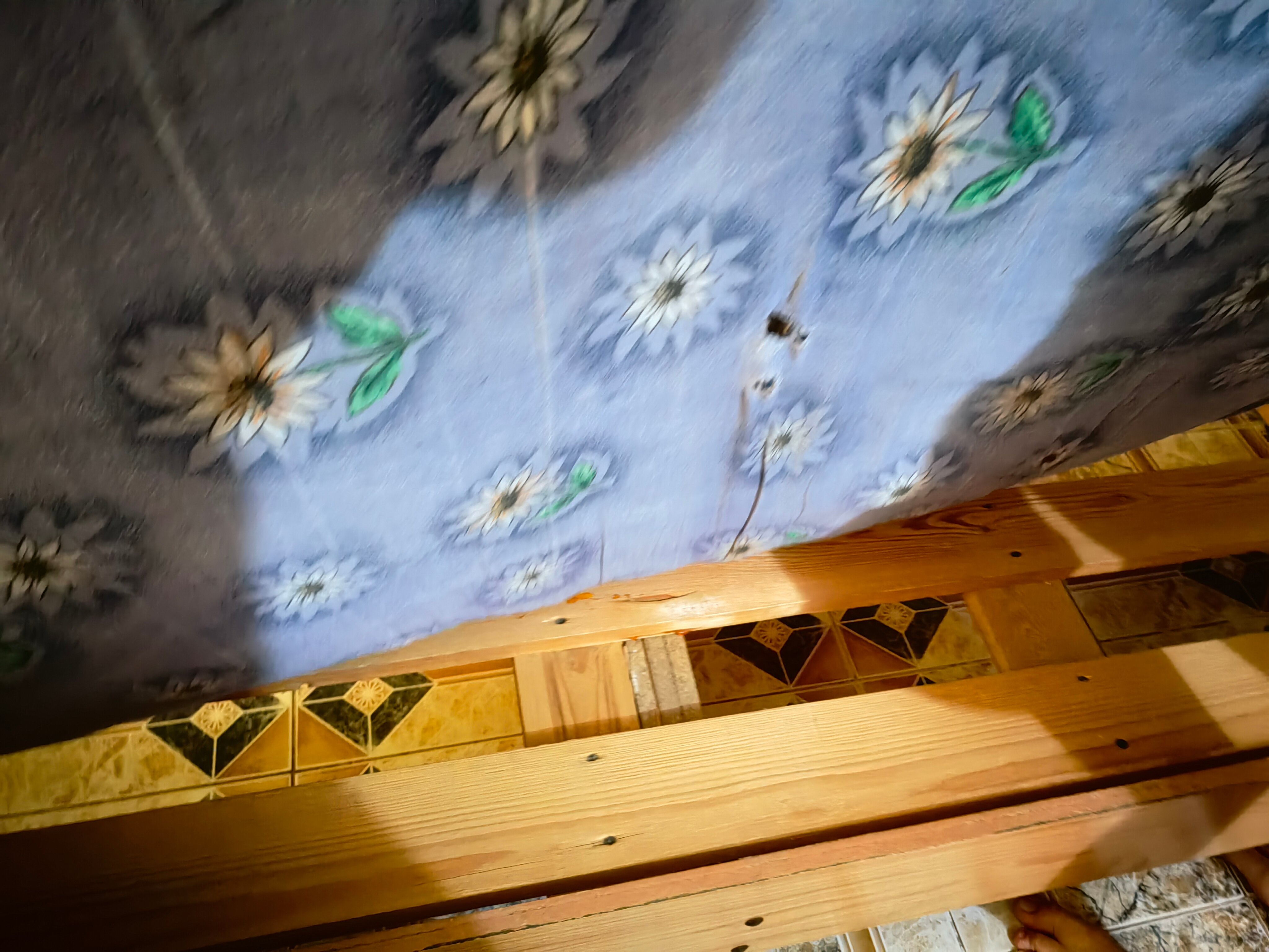 Фото Сусанна