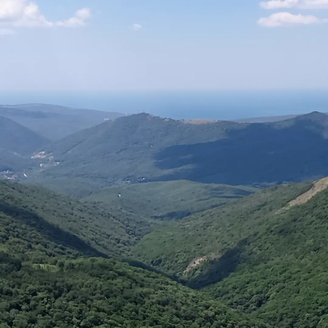 Фото Миротель