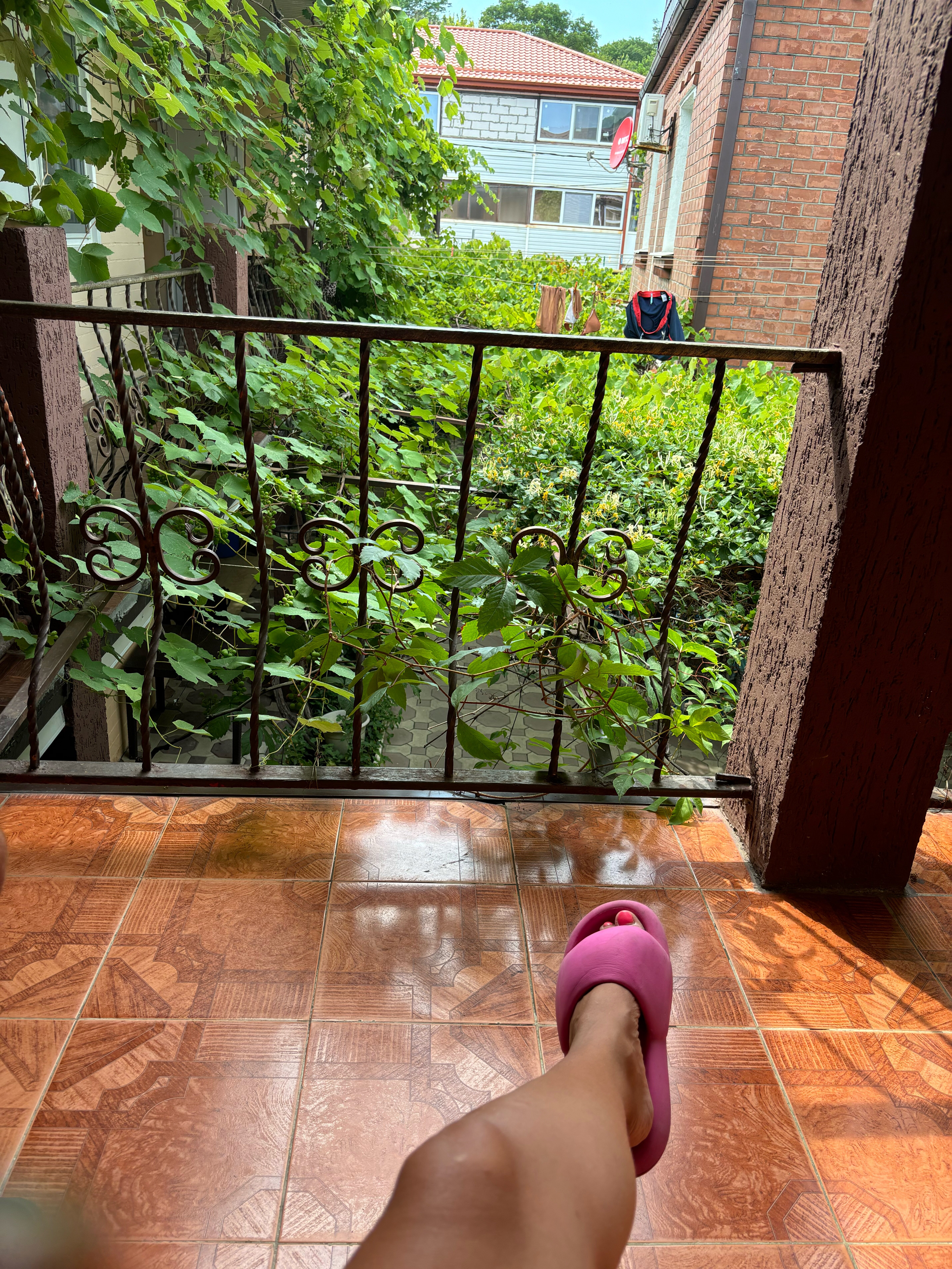 Фото Джубга Аленка