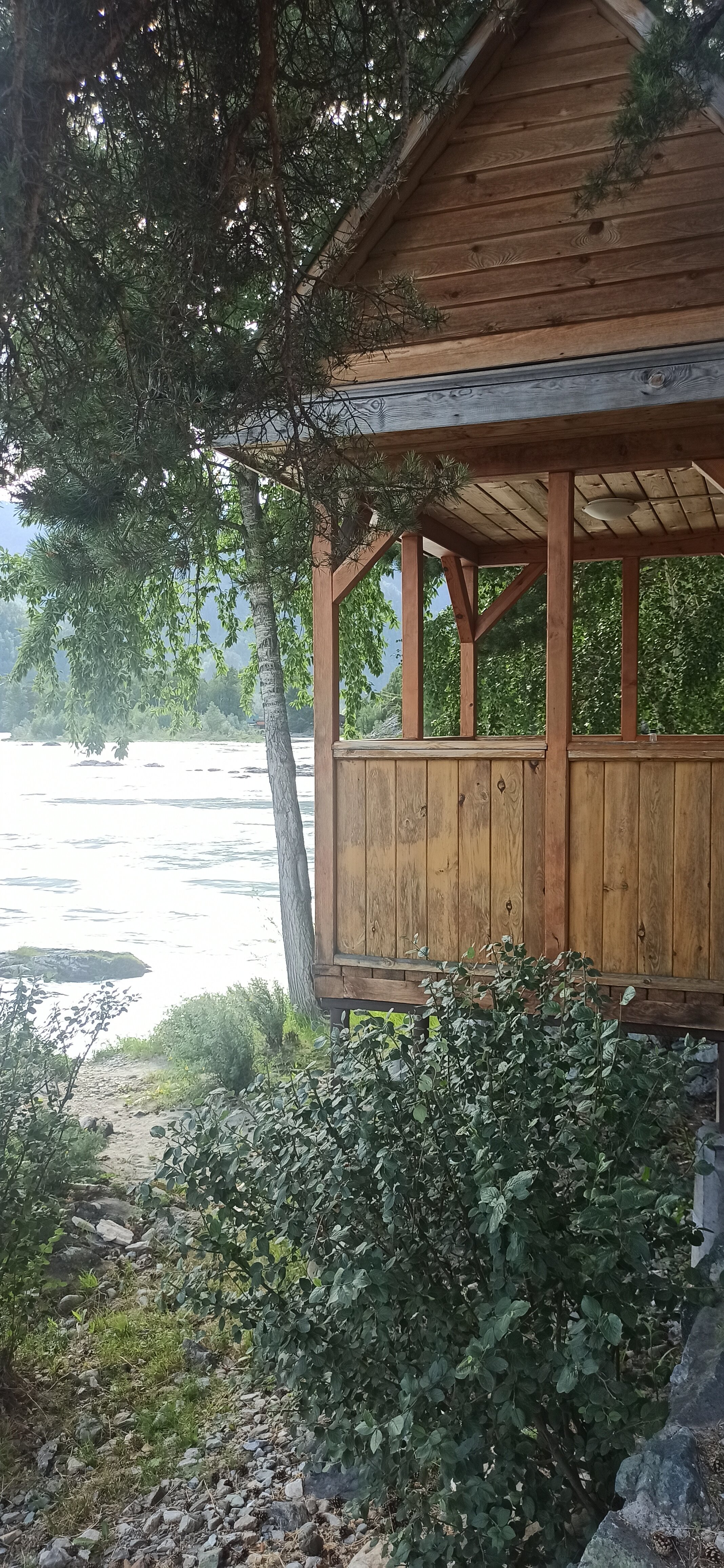 Фото Альбатрос