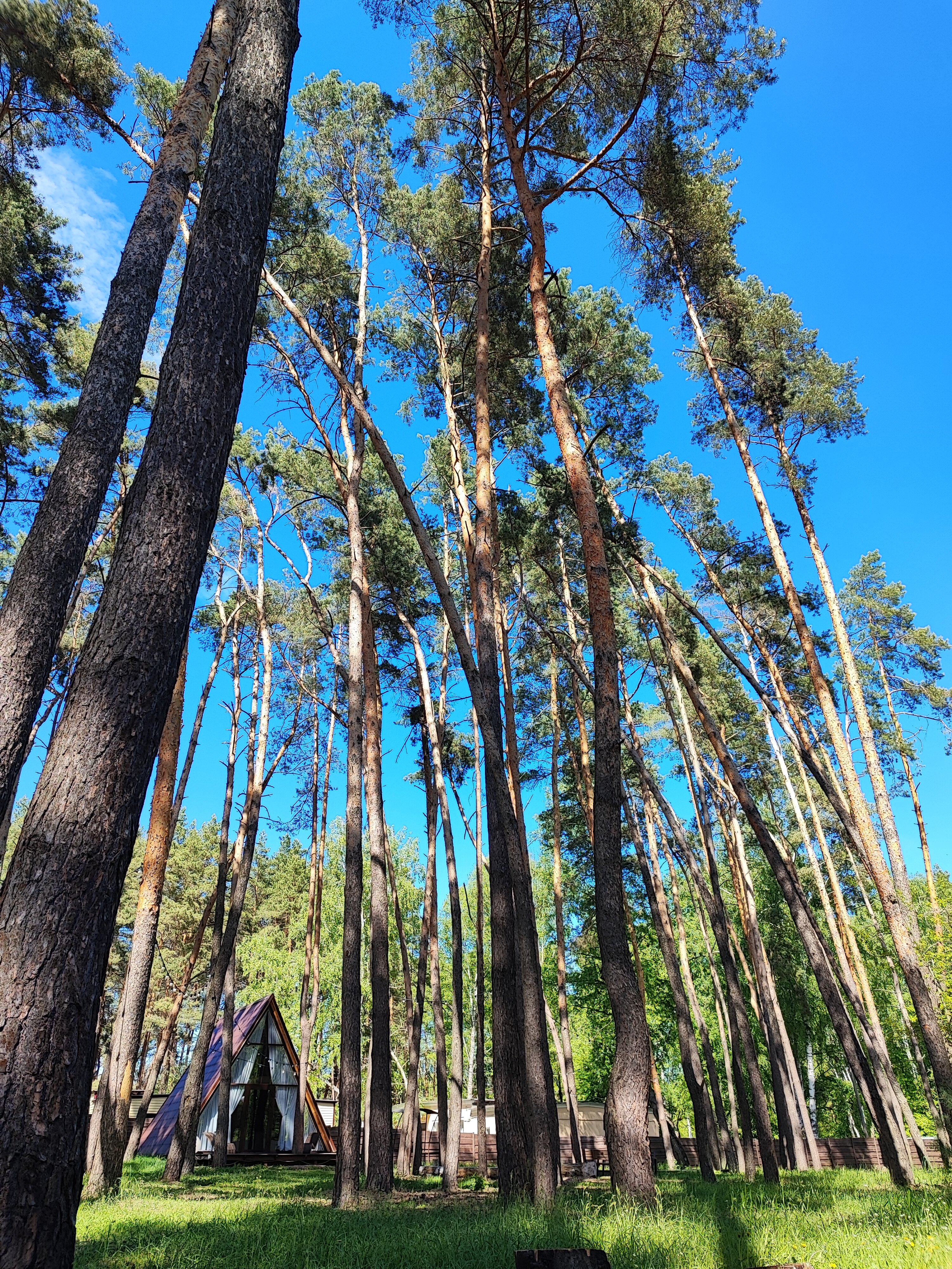 Фото Спортивно-оздоровительный центр имени в. Терешковой