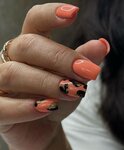 Chel Nails Permanent (Dovatora street, 30), nail salon