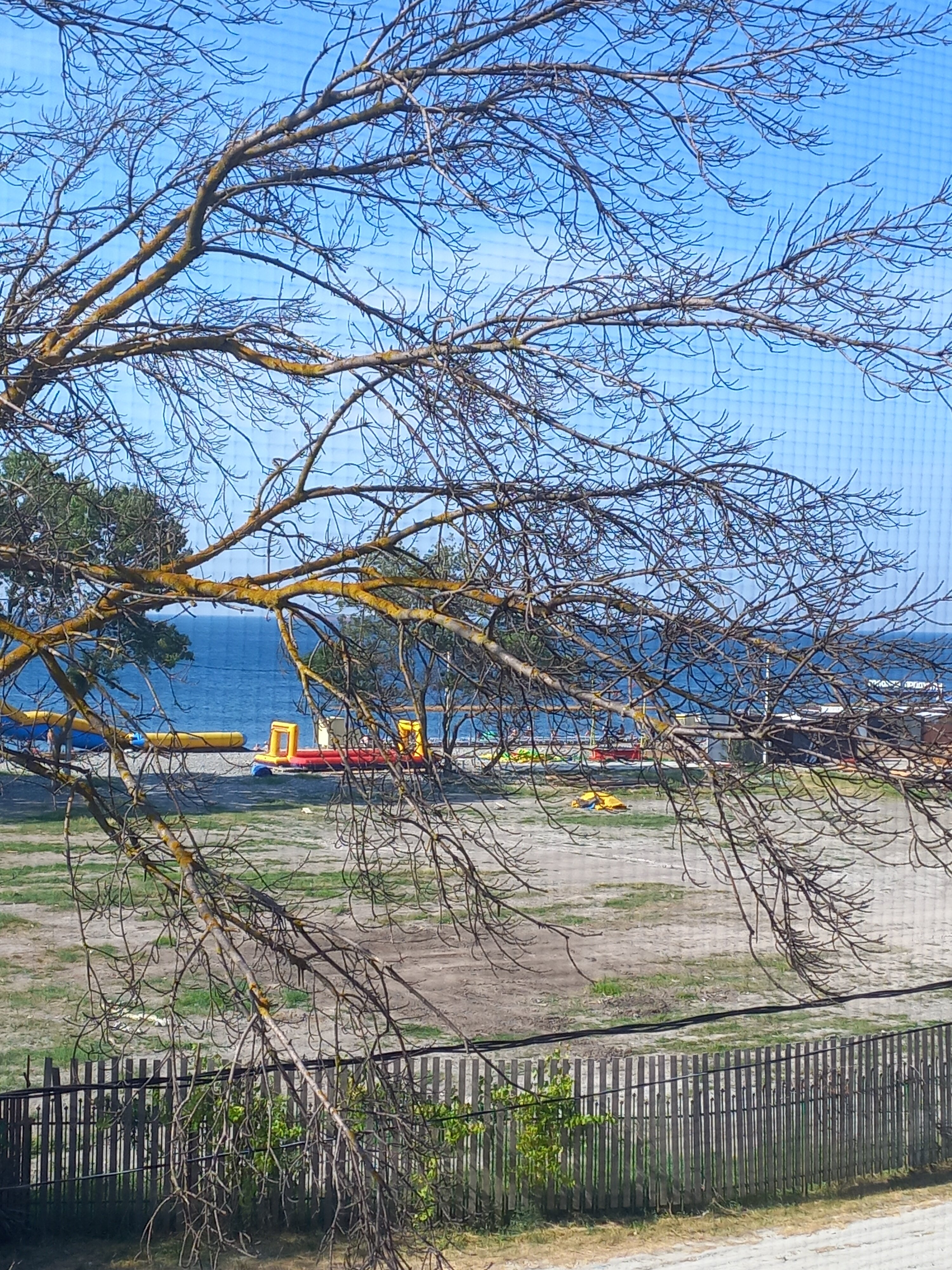 Фото Светлана