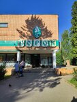 Борок (posyolok Borok, 2), centro comercial