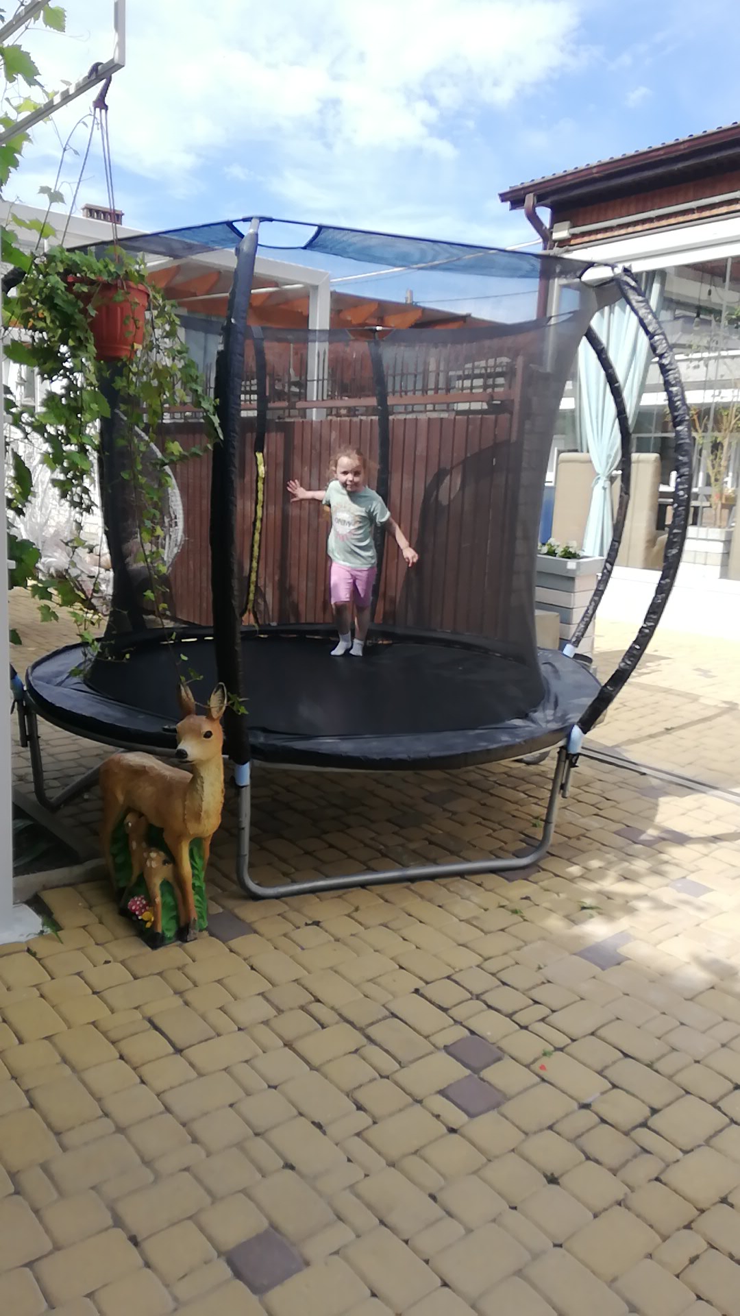 Фото Николаев двор