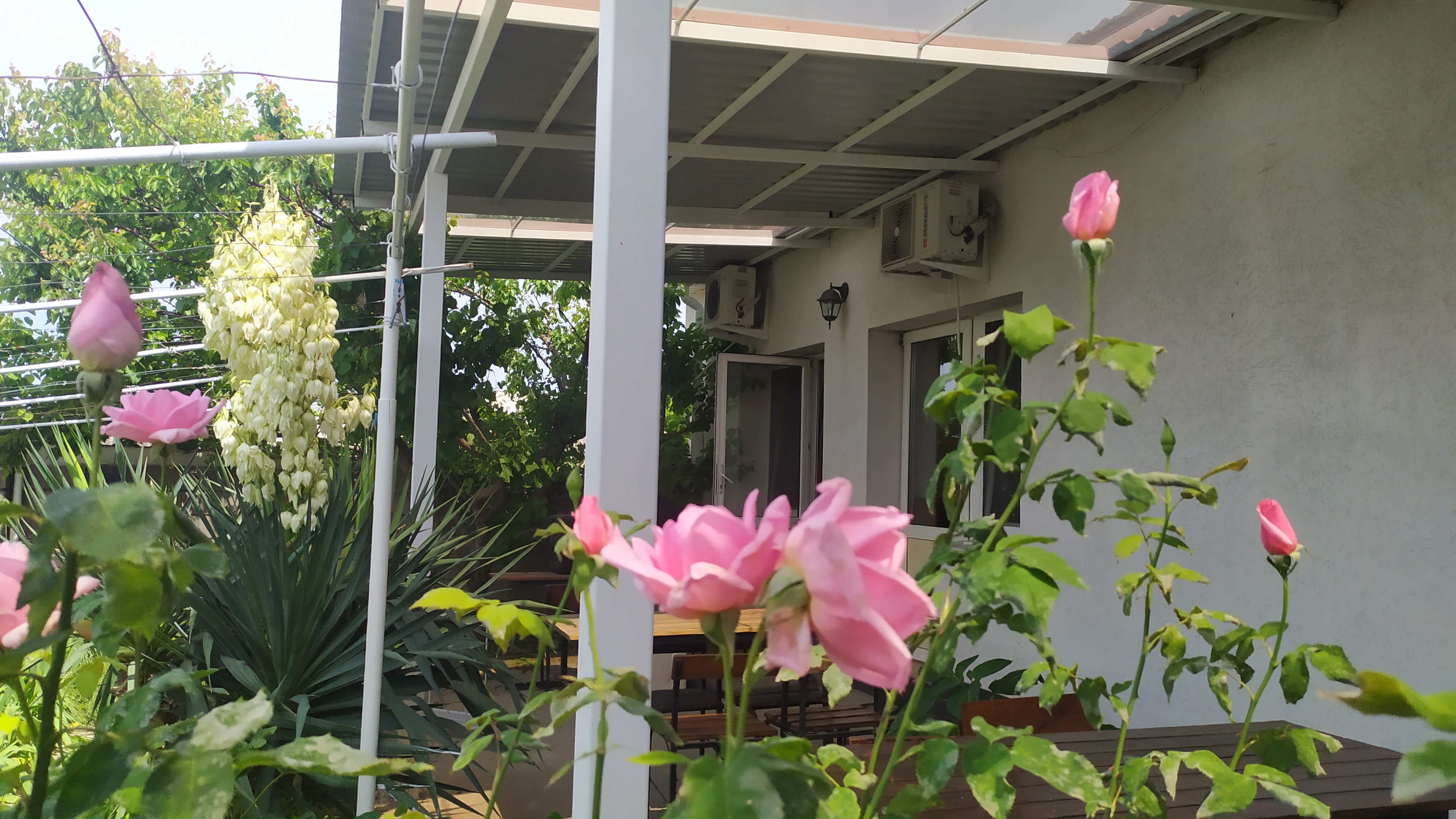 Фото Ребекка