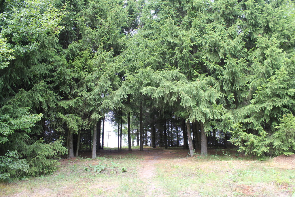 Spring, stream Обустроенный родник, Kursk Oblast, photo