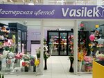 Vasilek (mikrorayon Gorodok Neftyanikov, ulitsa 22 Aprelya, 38к8) ، محل زهور
